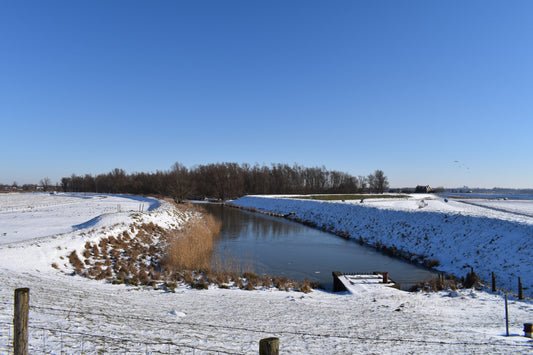 Ansichtkaart Winterwonderland